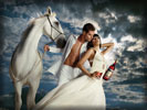 Eva Mendes for Campari with a Man & White Horse