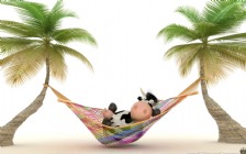 Cow Relaxing