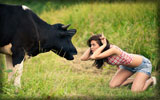 Girl Playing with a Cow