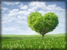 Valentine's Day, Heart Shaped Green Tree