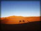 Desert, Camel Train, Dunes
