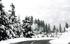 Winter Road