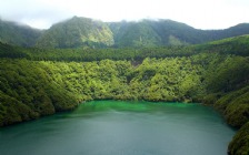 Lake, Trees