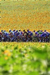 2010 Tour de France Race